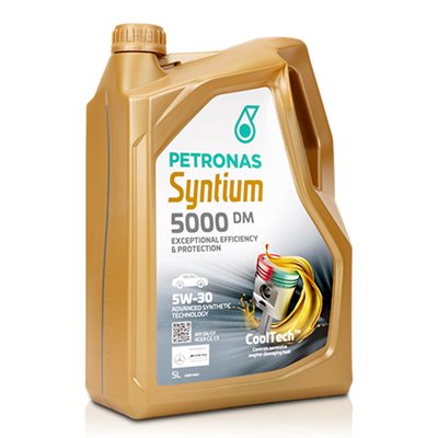 SYNTIUM 5000 DM 5W30 5L