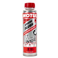 
LIMPIEZA INTERNA MOTOR MOTUL